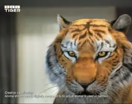 S-E-L Tiger TMT bars-Iske bond ka koi tod nahi - Video