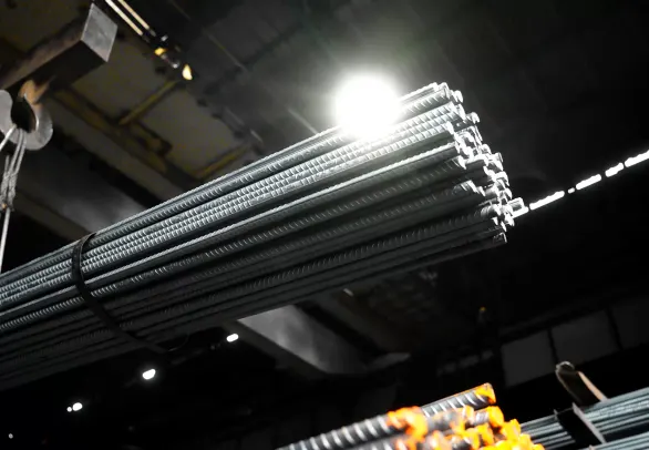 SEL Tiger TMT rebar Plant | Best TMT Bar Company in India