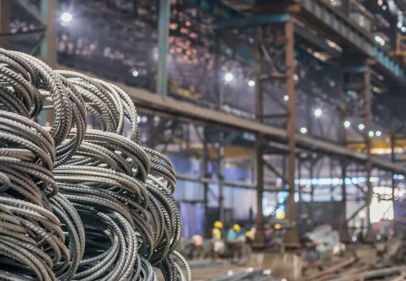 SEL Tiger TMT rebar Plant | Best TMT Bar Company in India